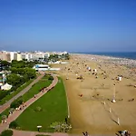 Lira Bibione